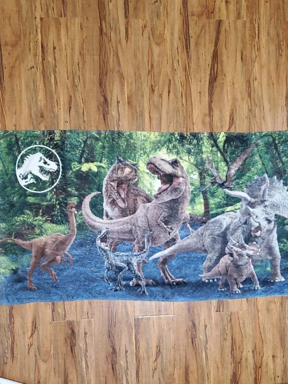 Jurassic World Dinosaur Beach Towel Bath Towel